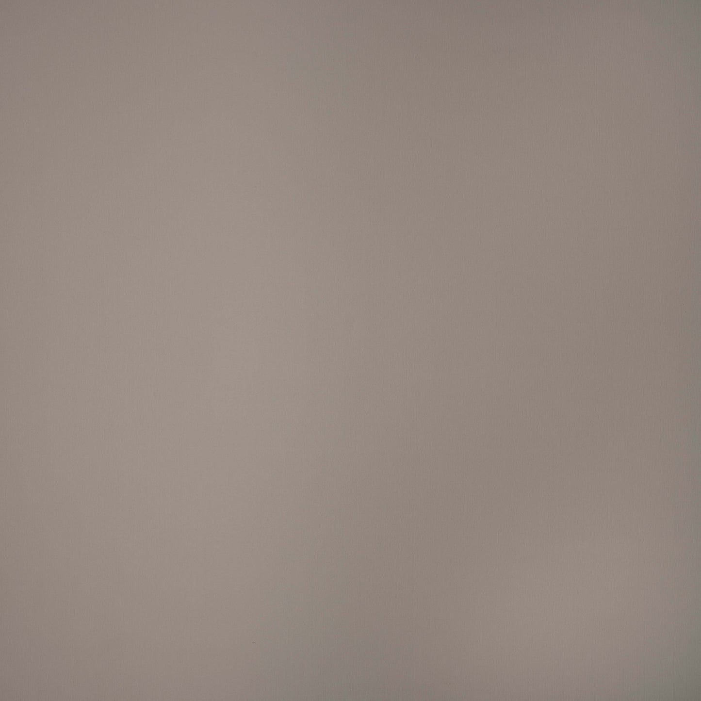 Luna cabinet door