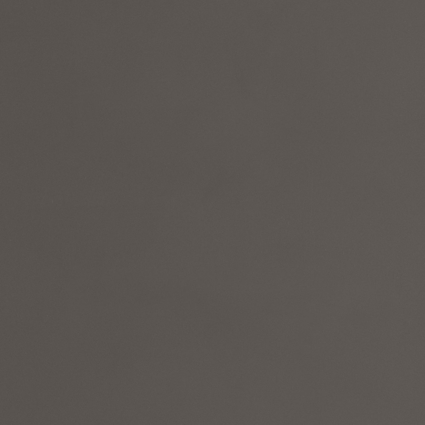 Mocha Grey Cabinets Door